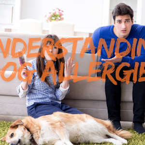10 Signs Your Dog Might Have Allergies: What to Watch Out For!